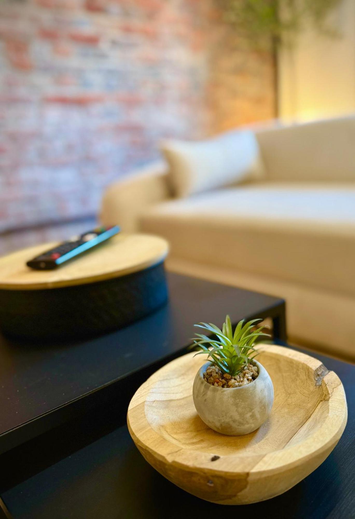 Apartment Suburban Loft